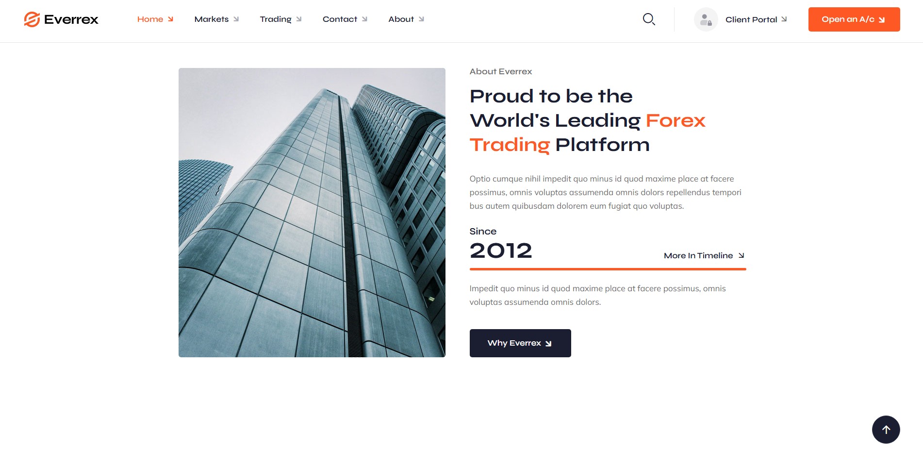 EverrexTrade about page with Latin lorem ipsum placeholder text exposing it as a template scam